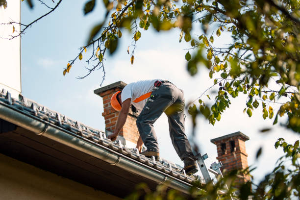 Best Commercial Roofing Services  in Mayville, ND