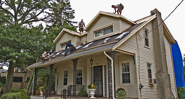 Best Residential Roofing Contractor  in Mayville, ND