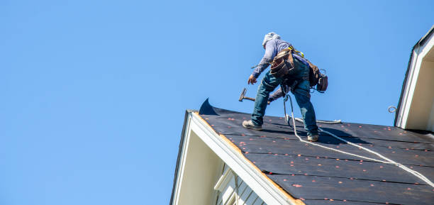 Best Emergency Roof Repair  in Mayville, ND